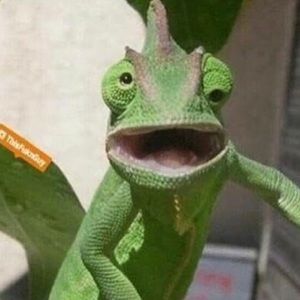 Meet your Posher, Roxanne